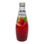 Randiy Juice Strawberry Flavor290ml